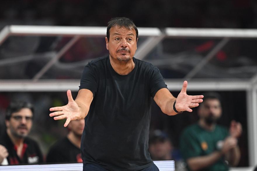 Αταμάν: «Η Ελλάδα πρέπει να επενδύσει στο μπάσκετ, στόχος του Παναθηναϊκού η Ευρωλίγκα» thumb