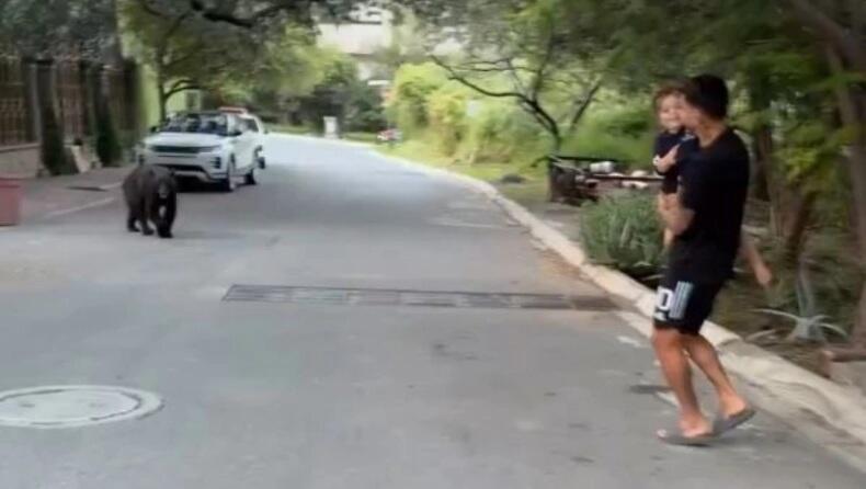 Ήρθε... τετ α τετ με αρκούδα έξω από το σπίτι του! (vid) thumb